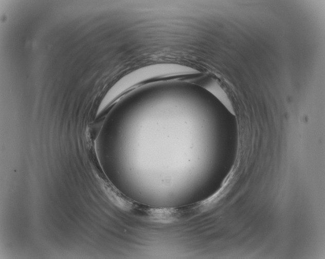 X0000085210192200703231516