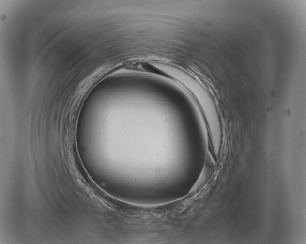 X0000085210193200703231515