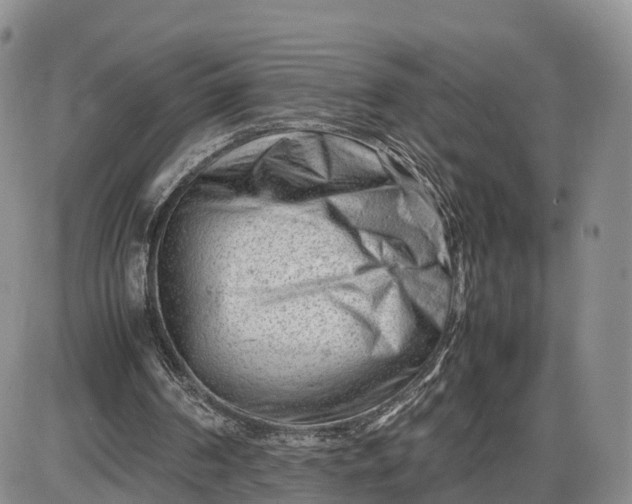 X0000085210194200703231515