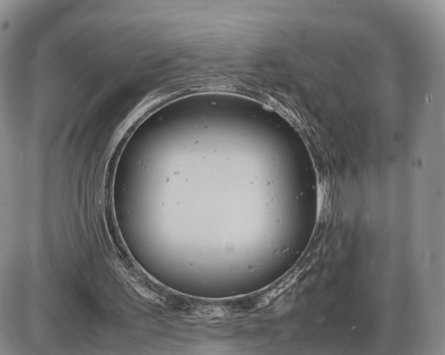 X0000085210195200703231515