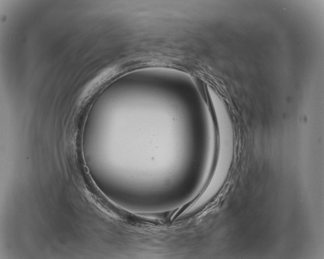 X0000085210197200703231515