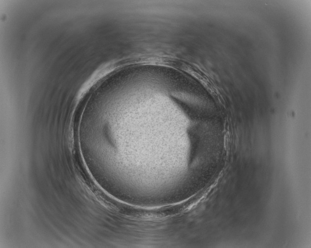 X0000085210198200703231515