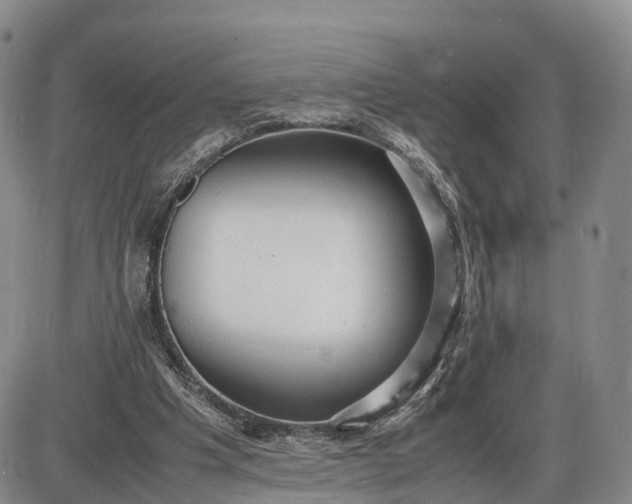 X0000085210201200703231515