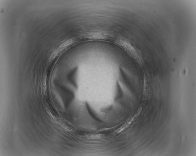 X0000085210202200703231515