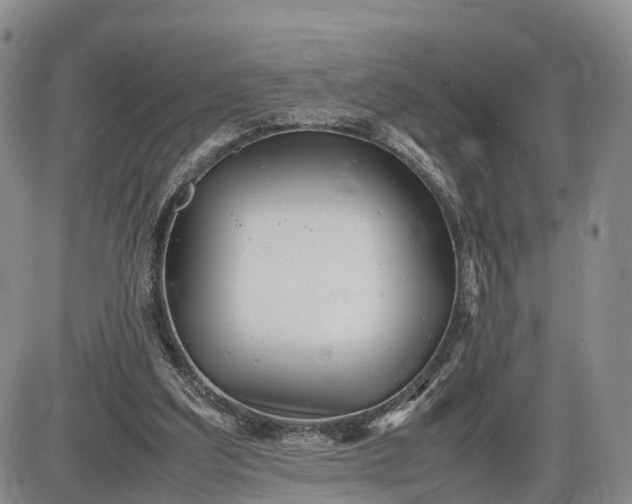 X0000085210203200703231515