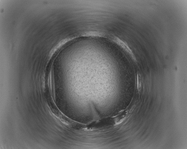 X0000085210204200703231515