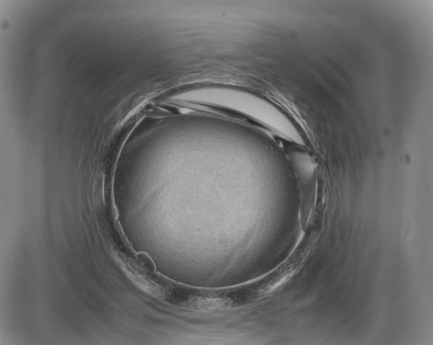 X0000085210205200703231515