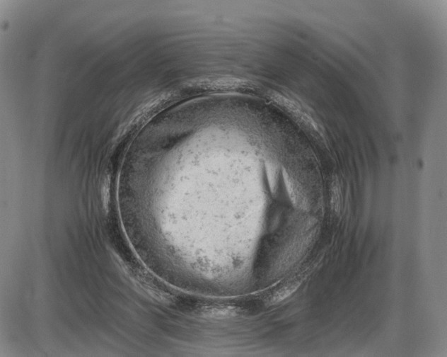 X0000085210206200703231515