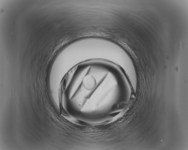 X0000085210207200703231515