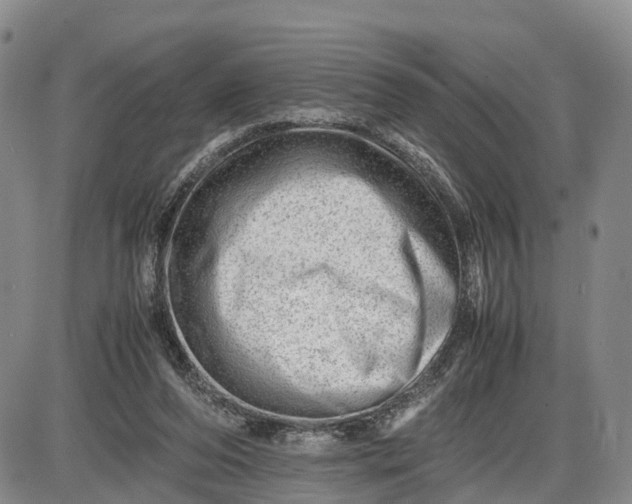 X0000085210208200703231515