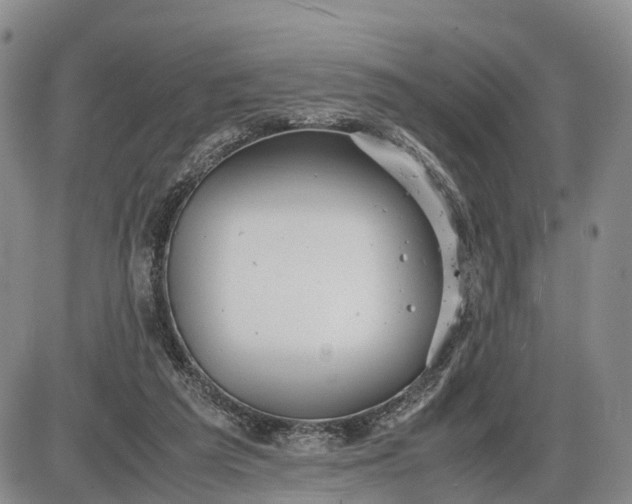 X0000085210209200703231515