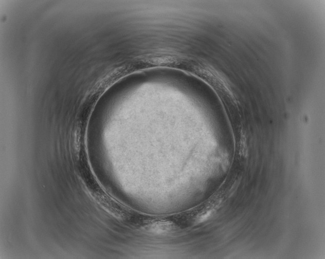 X0000085210210200703231515