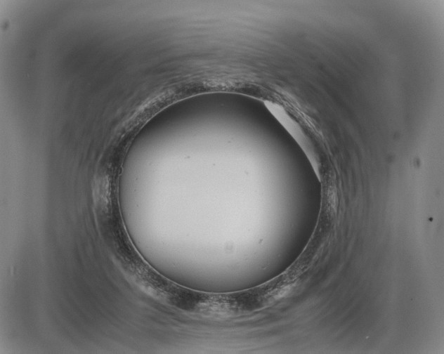 X0000085210211200703231515