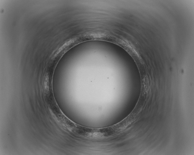 X0000085210212200703231515