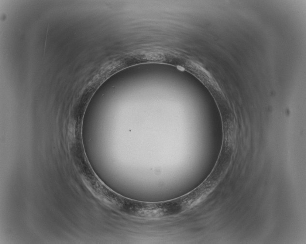 X0000085210213200703231515