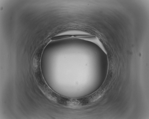 X0000085210215200703231515