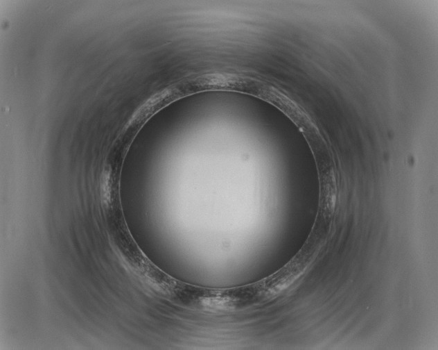 X0000085210216200703231515