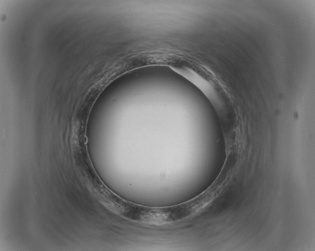 X0000085210217200703231515