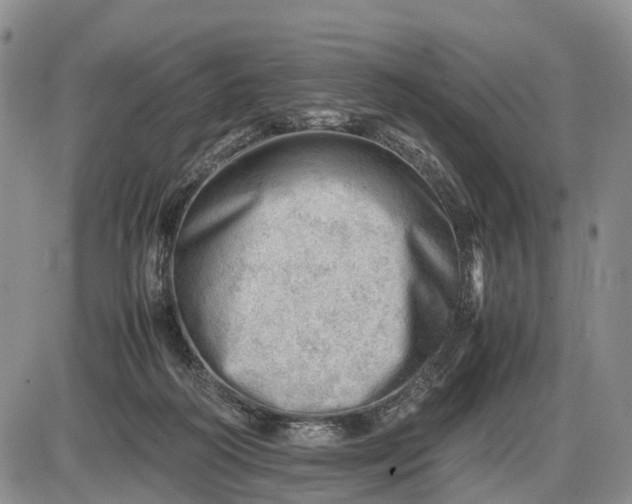 X0000085210218200703231515