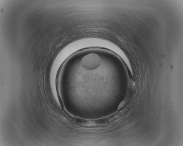 X0000085210219200703231515