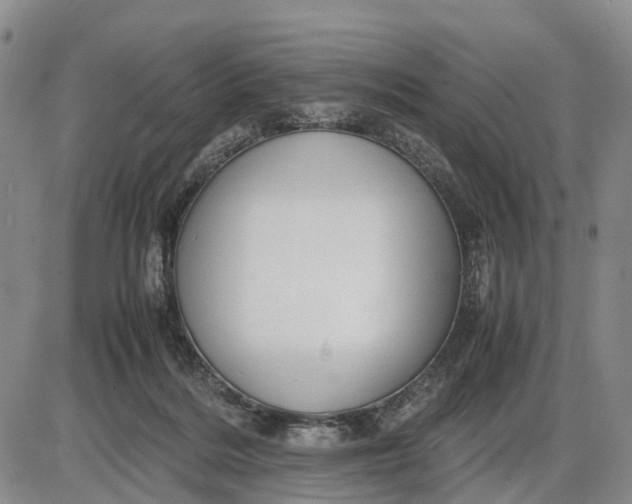 X0000085210220200703231515