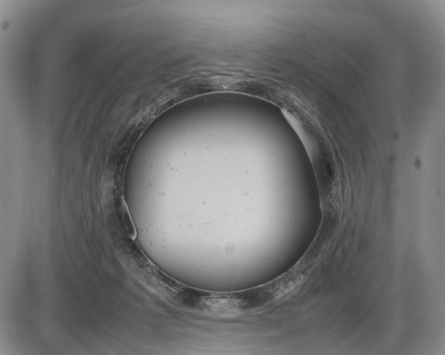 X0000085210221200703231515