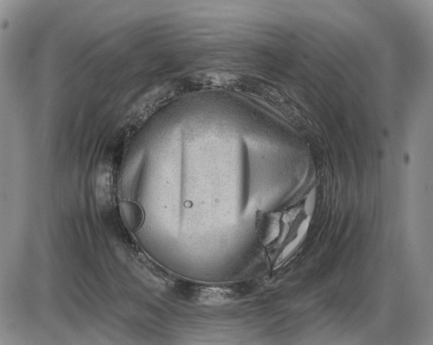 X0000085210222200703231515