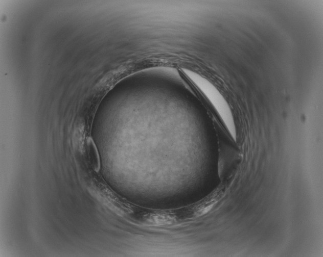 X0000085210223200703231515