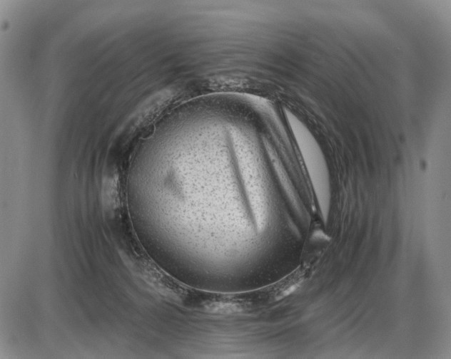 X0000085210224200703231515