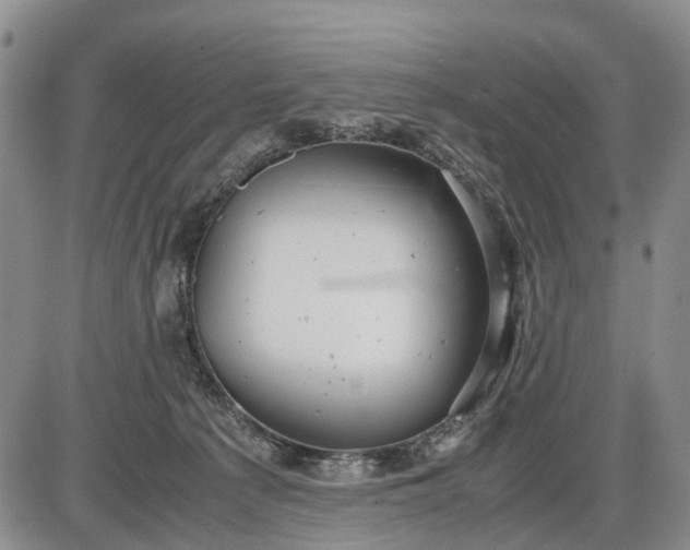 X0000085210225200703231515