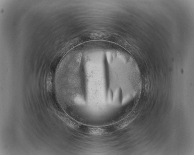 X0000085210226200703231515