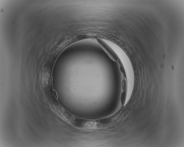 X0000085210227200703231515