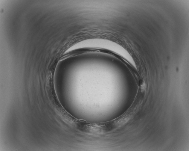 X0000085210229200703231515