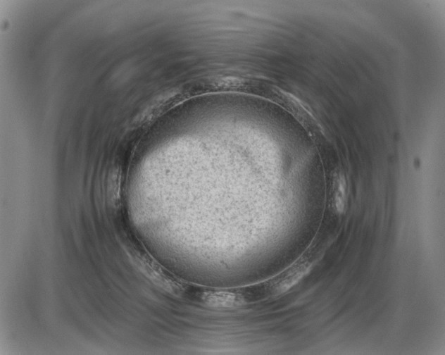 X0000085210230200703231515