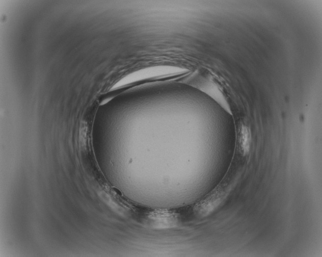 X0000085210231200703231515