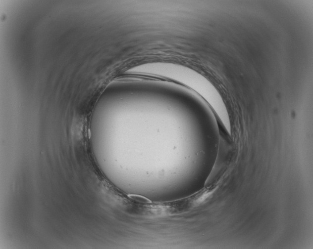 X0000085210233200703231515