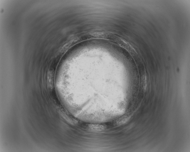 X0000085210234200703231515