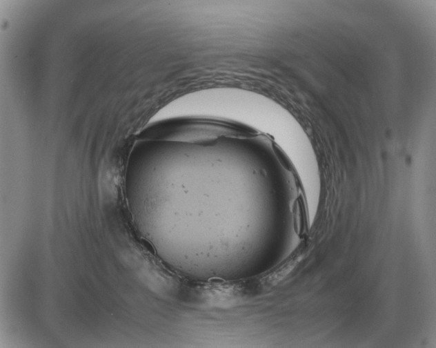 X0000085210235200703231515