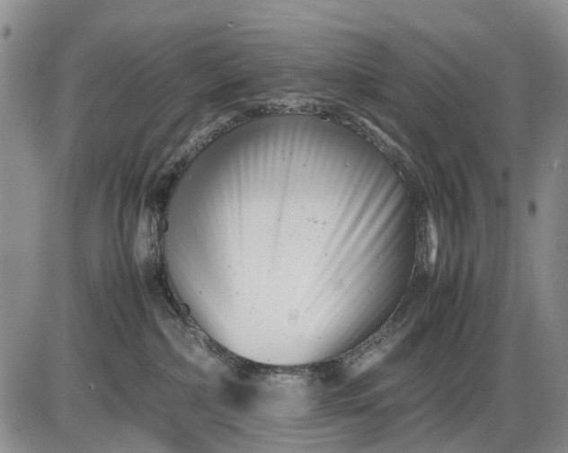 X0000085210236200703231515