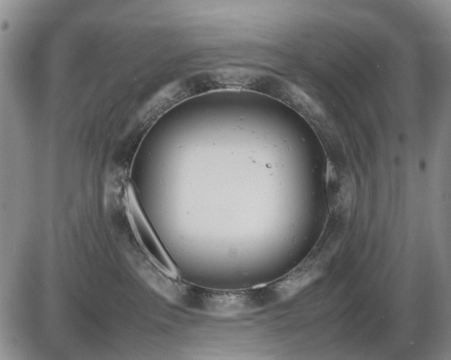 X0000085210237200703231515