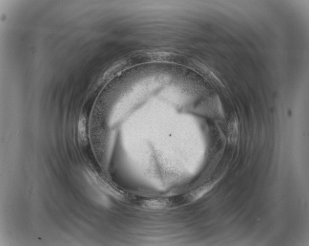 X0000085210238200703231515