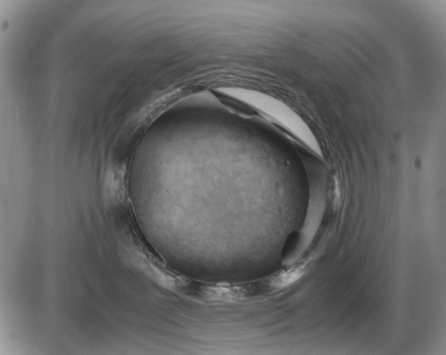 X0000085210239200703231515