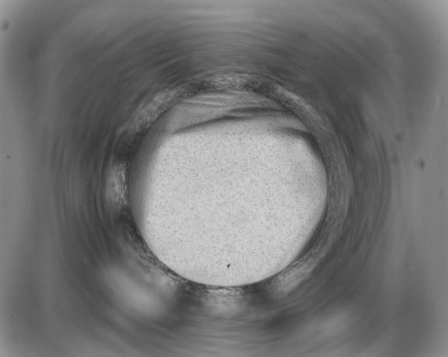 X0000085210240200703231515