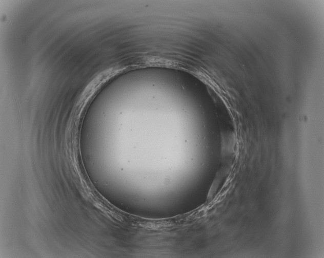 X0000085210241200703231514