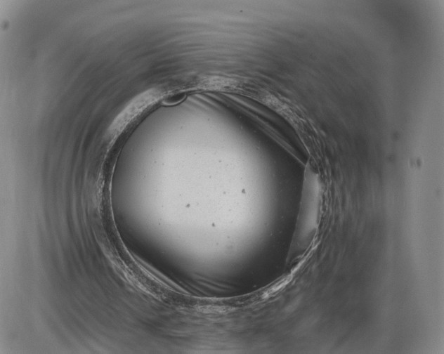 X0000085210242200703231514