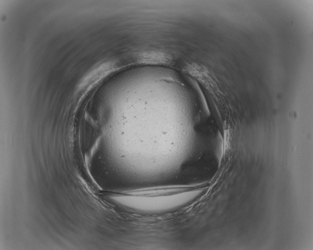 X0000085210243200703231514