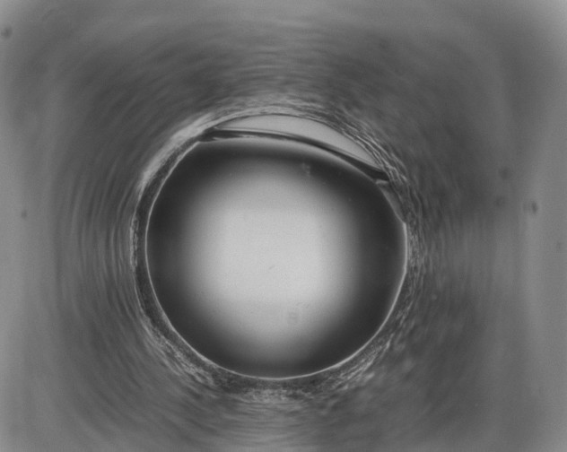 X0000085210244200703231514