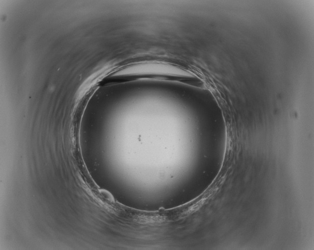 X0000085210245200703231514