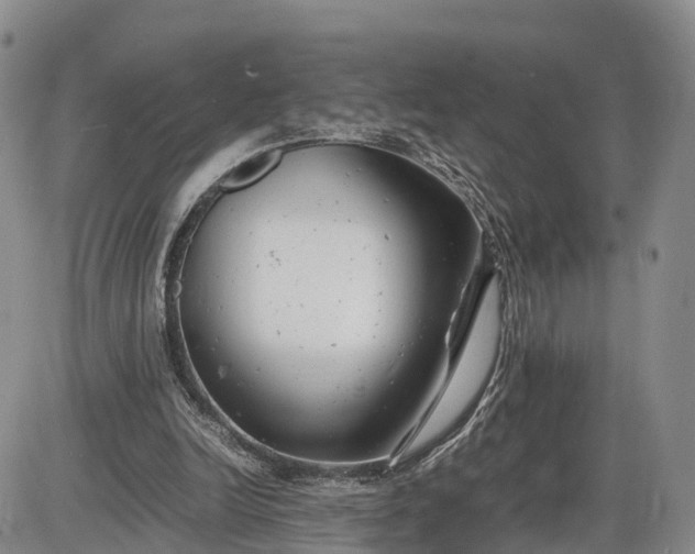 X0000085210246200703231514