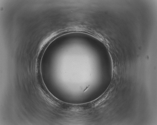 X0000085210248200703231514